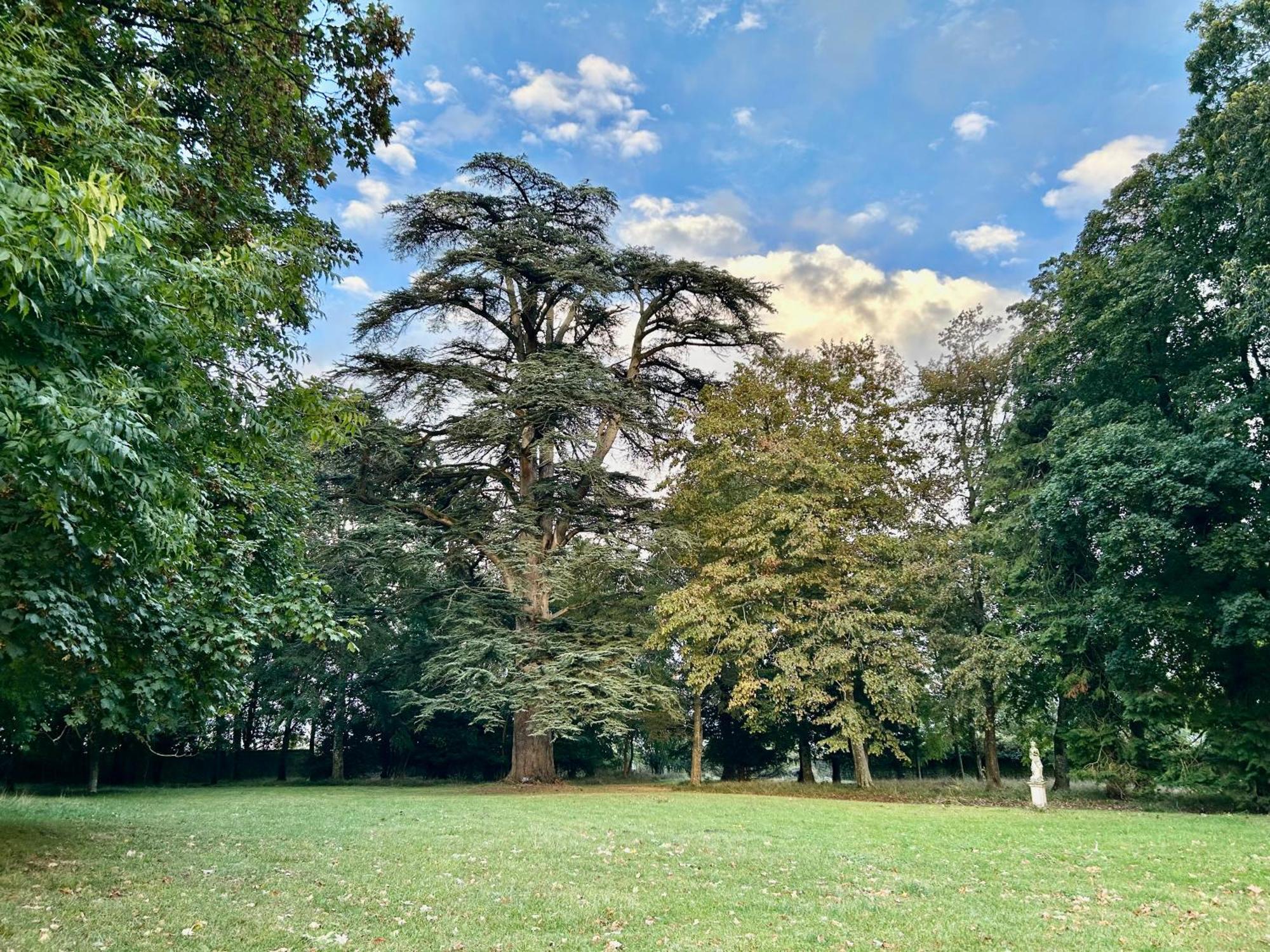 Chateau Des Feugerets Belleme Esterno foto