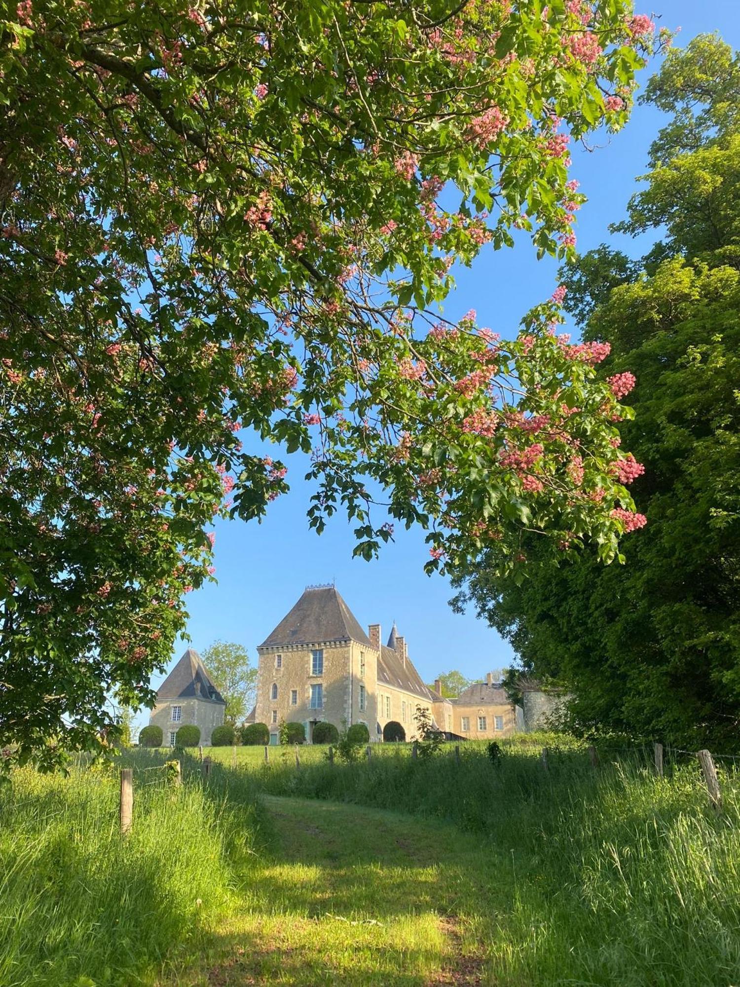 Chateau Des Feugerets Belleme Esterno foto