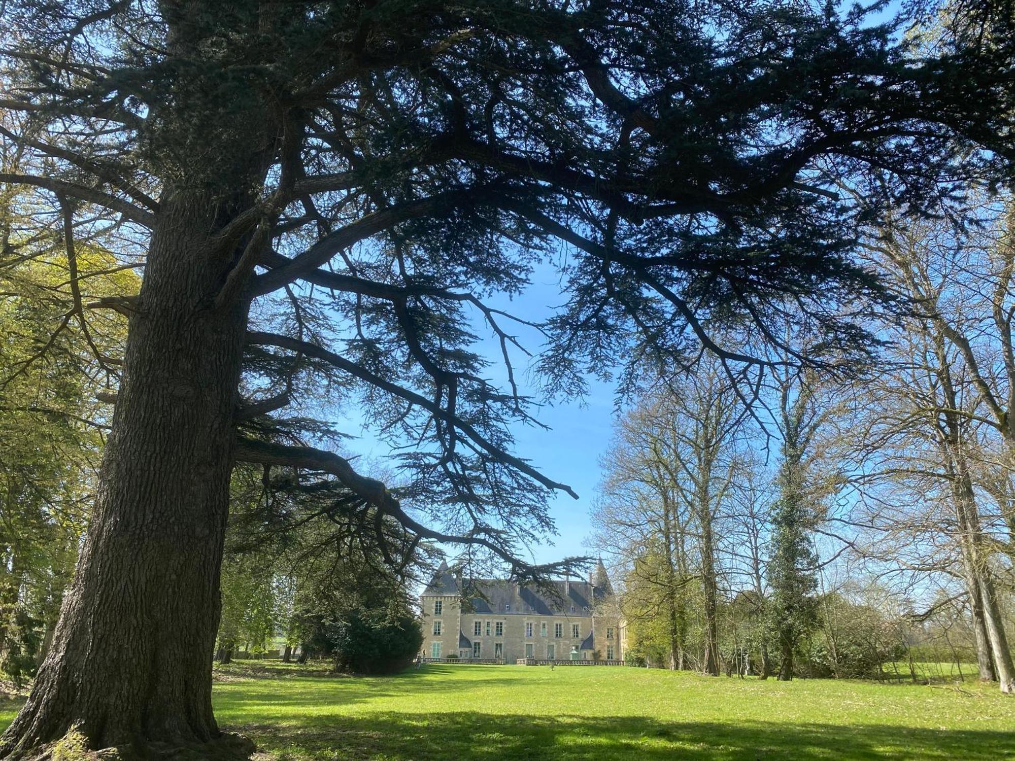 Chateau Des Feugerets Belleme Esterno foto